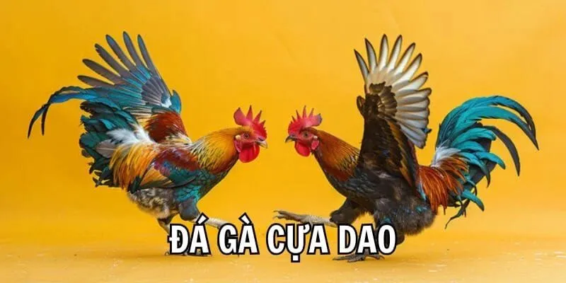 Trang đăng ký đá gà cựa dao trực tuyến an toàn 2026 Hình số 3 Vai Trò Của Công Nghệ Trong Bảo Mật Tài Khoản