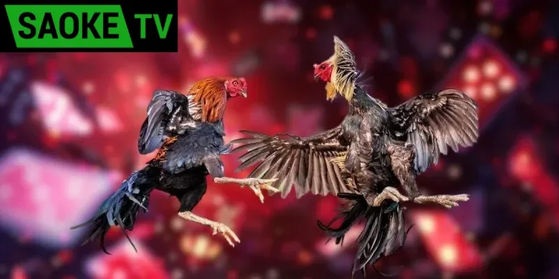 Vai Trò Của Công Nghệ Trong Bảo Mật Tài Khoản