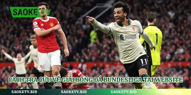 Giải Bóng Đá Bundesliga – Mùa Giải Danh Giá Nhất Nước Đức | Hình số 4 Cách tra cứu về giải bóng đá Bundesliga tại website