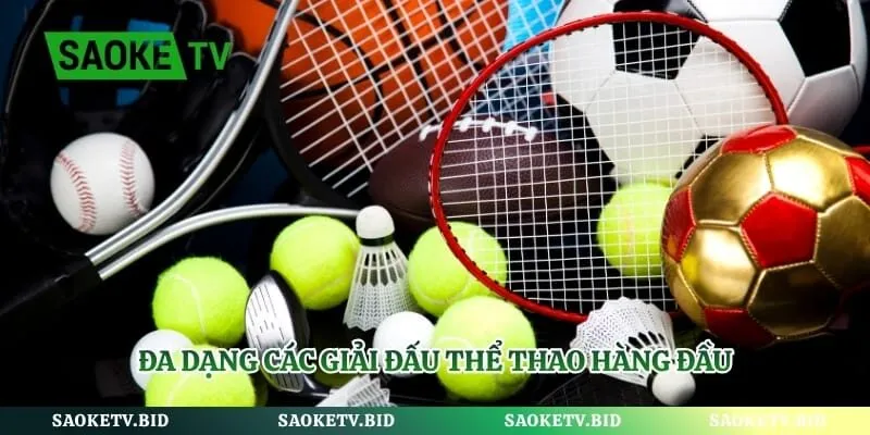 Đa dạng các giải đấu thể thao hàng đầu