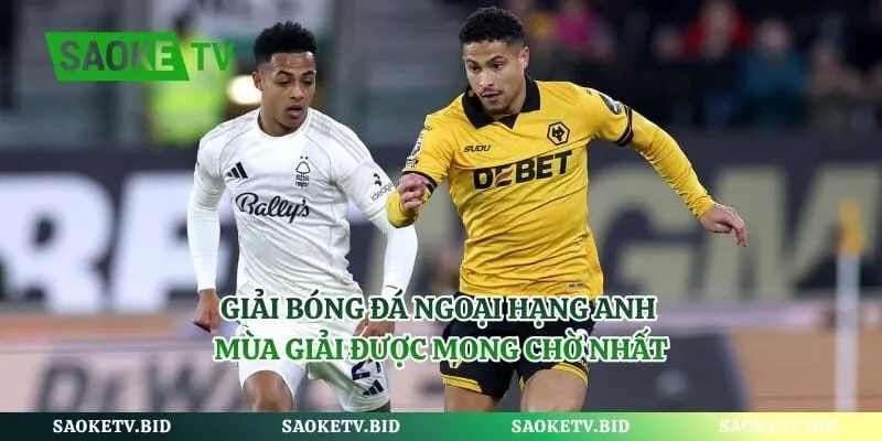 Giải Bóng Đá Ngoại hạng Anh – Mùa Giải Được Mong Chờ Nhất | Hình số 1 Giải Bóng Đá Ngoại hạng Anh – Mùa Giải Được Mong Chờ Nhất