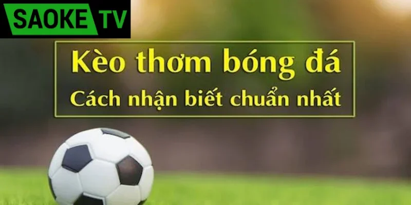 Kèo thơm là gì? Các thông tin chi tiết và mẹo cược thắng | Hình số 2 kèo thơm