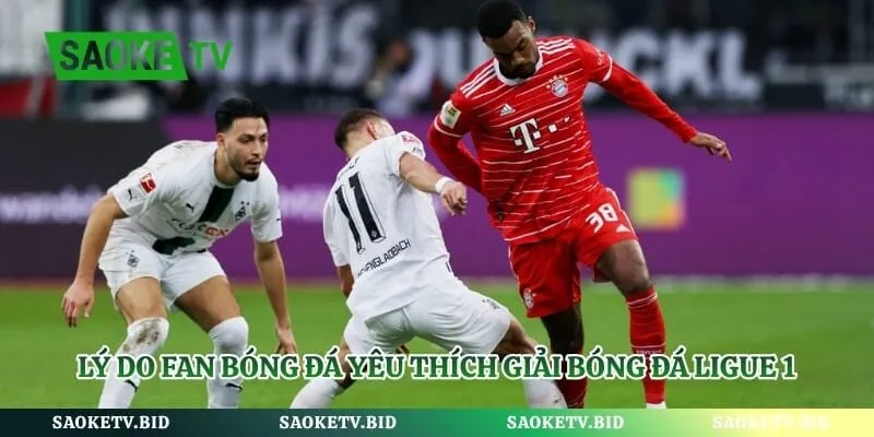 Giải Bóng Đá Ligue 1 – Cuộc Đua Đỉnh Cao Nhất Nước Pháp | Hình số 2 Lý do fan bóng đá yêu thích giải bóng đá Ligue 1